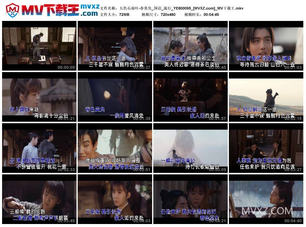 五色石南叶-春莫负_国语_流行_YE800095